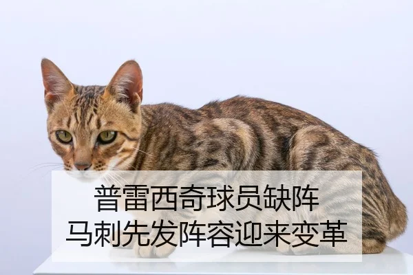 普雷西奇球员缺阵 马刺先发阵容迎来变革